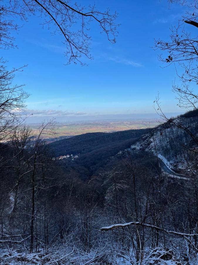 Wanderer Unterkunft Am Hexentanzplatz O Thale Εξωτερικό φωτογραφία
